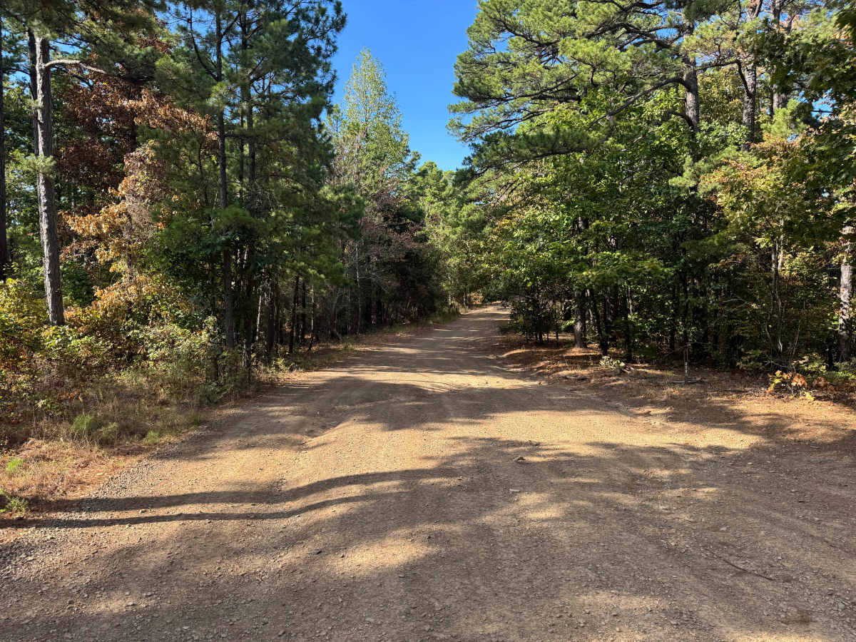 Huckleberry Pond trail photo