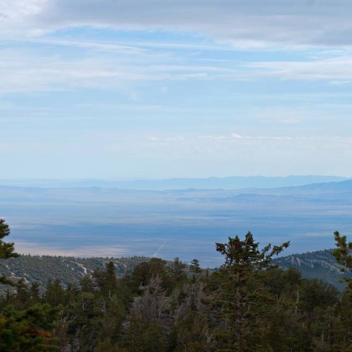 Near Bristlecone Pine Trail