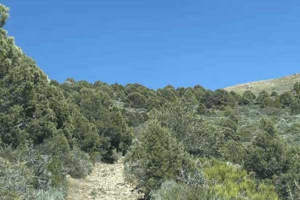 Mineral Valley Trail