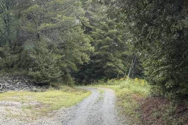 Pearcy Creek - FS 4101