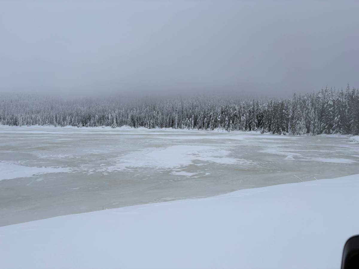 Holly Oak Lake photo 2