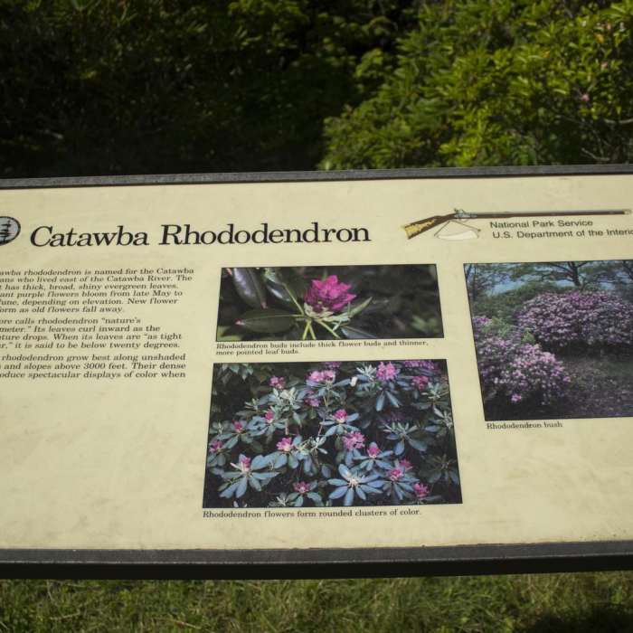 Near Pinnacle Hike at Craggy Gardens Near Pinnacle Hike at Craggy Gardens