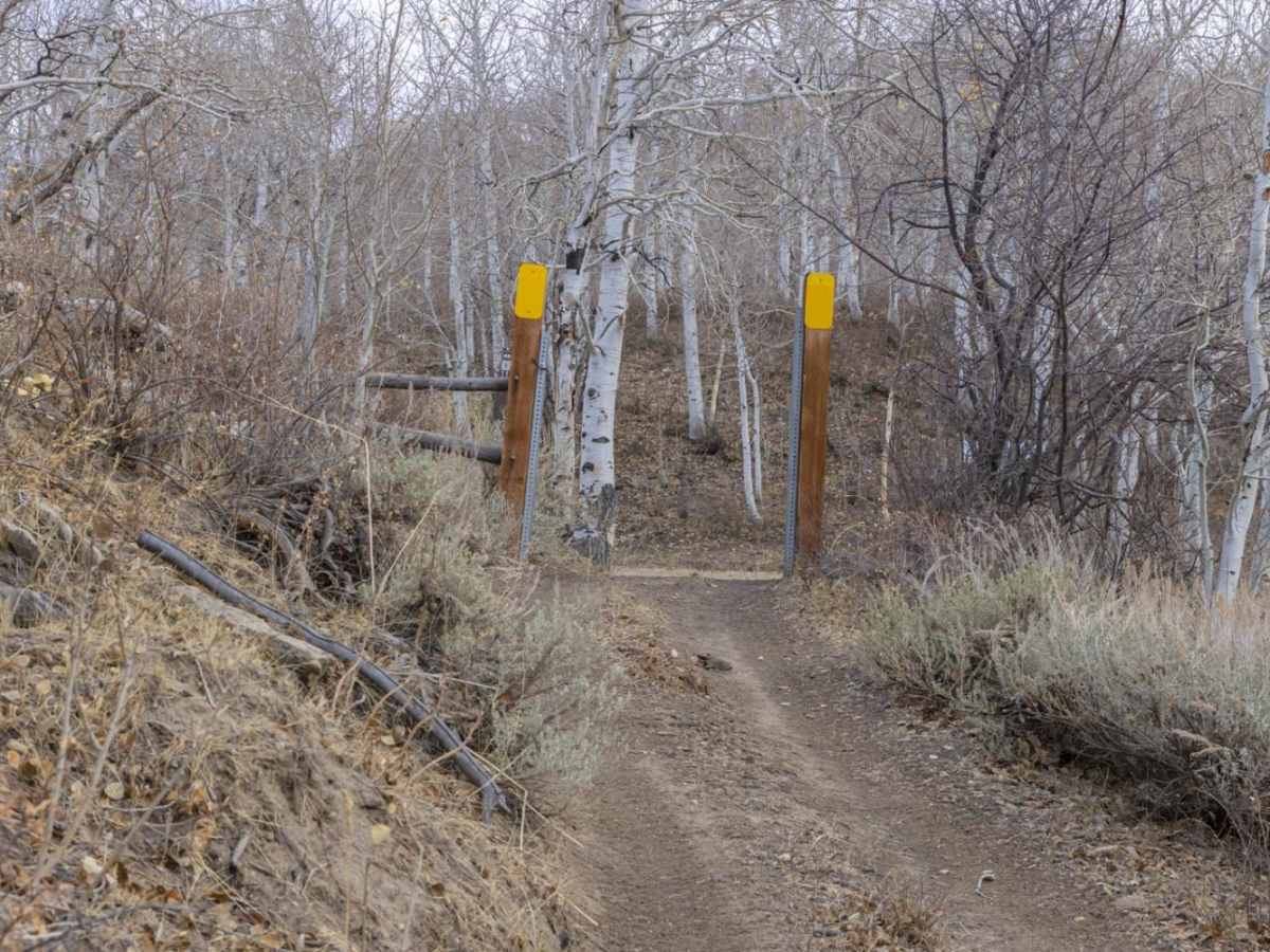 Oak Ridge Road Access Trail photo 4