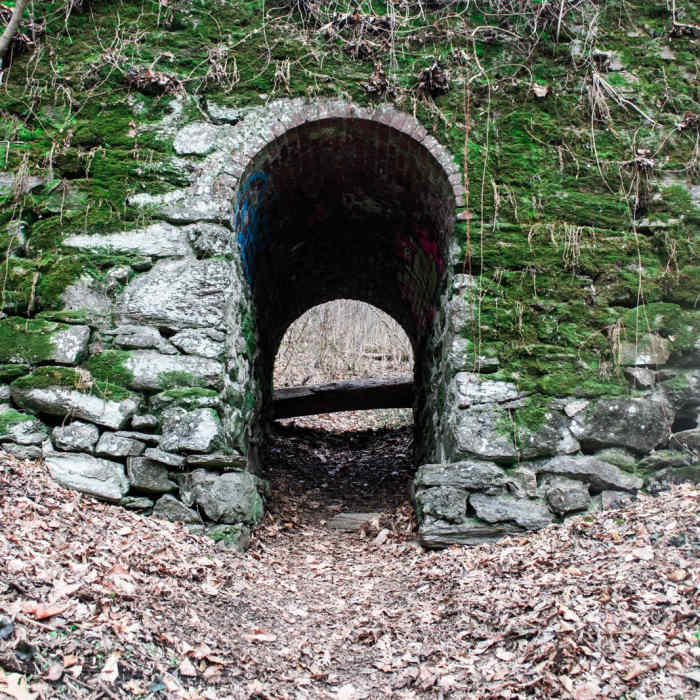 Near Wissahickon Valley Park Near Wissahickon Valley Park