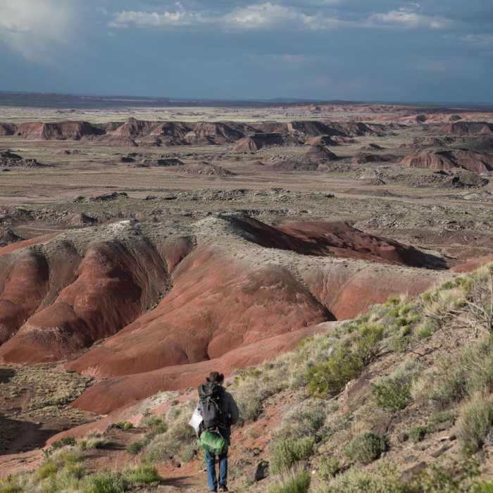 Near Painted Desert Near Painted Desert