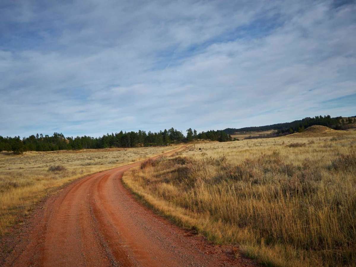 Ten Mile Creek Road photo 5