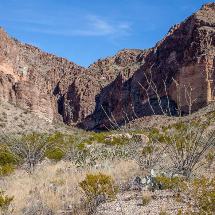 Near Lower Burro Pour-Off Trail