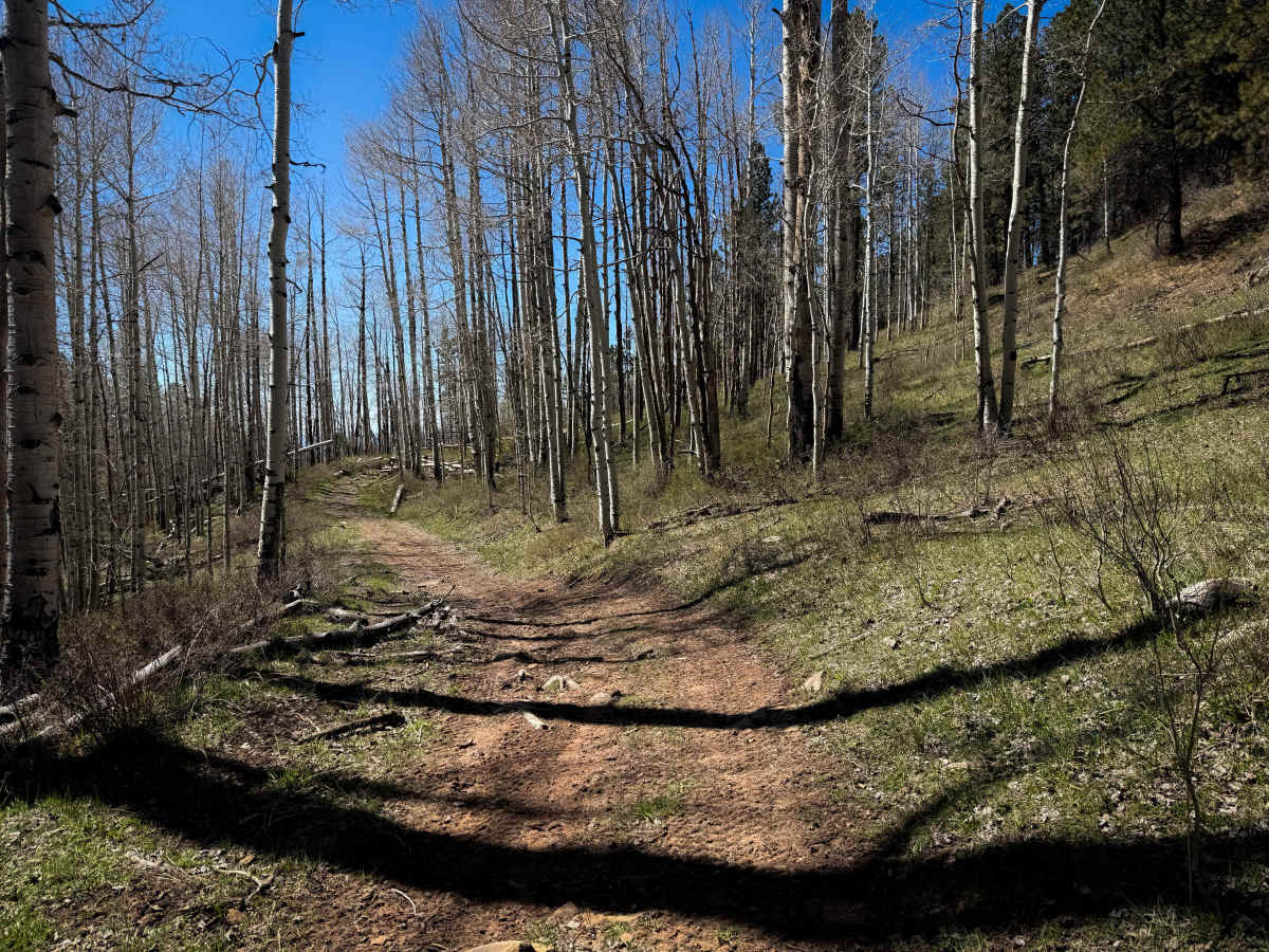 Upper 2 Mile ATV Trail  photo 5