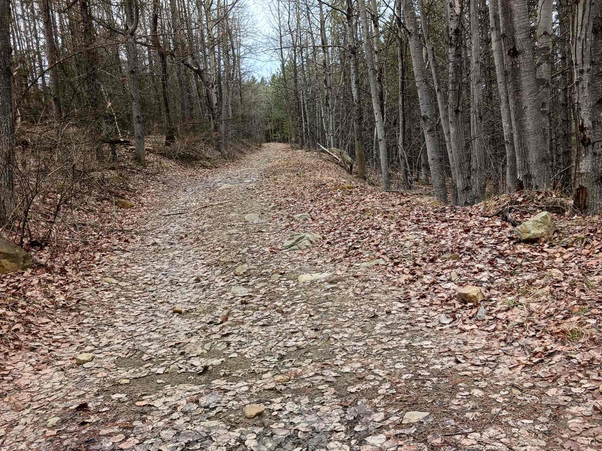 Trail 11E - Rock Run Recreation Area trail photo