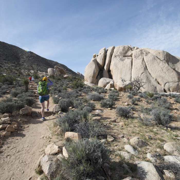 Near Ryan Mountain Trail