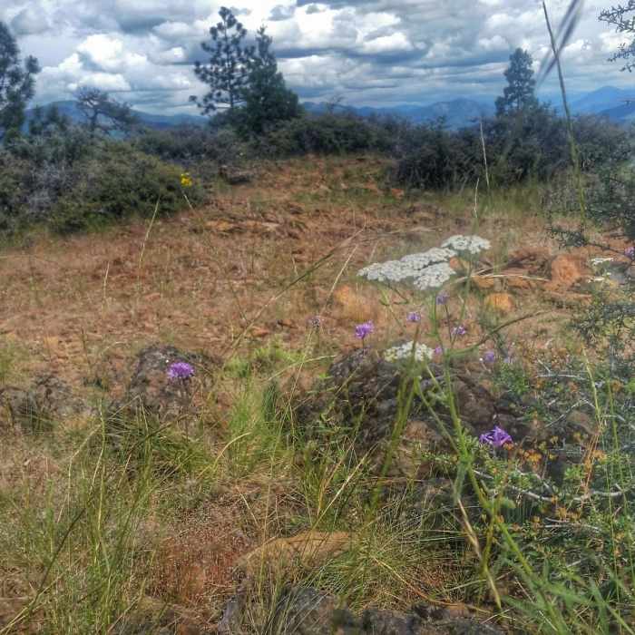 Near Bolt Mountain Trail