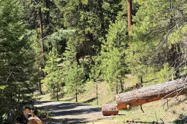 Pine Creek Road