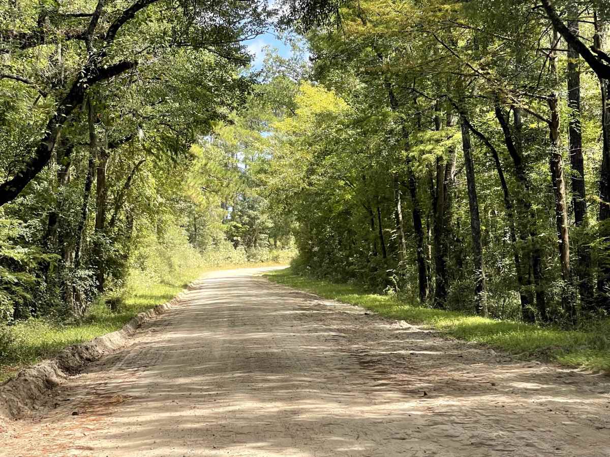 Governor Road  photo 5