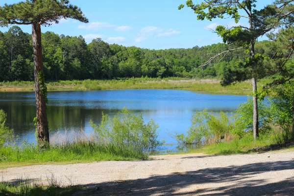 Beaver Lake - FS 3899