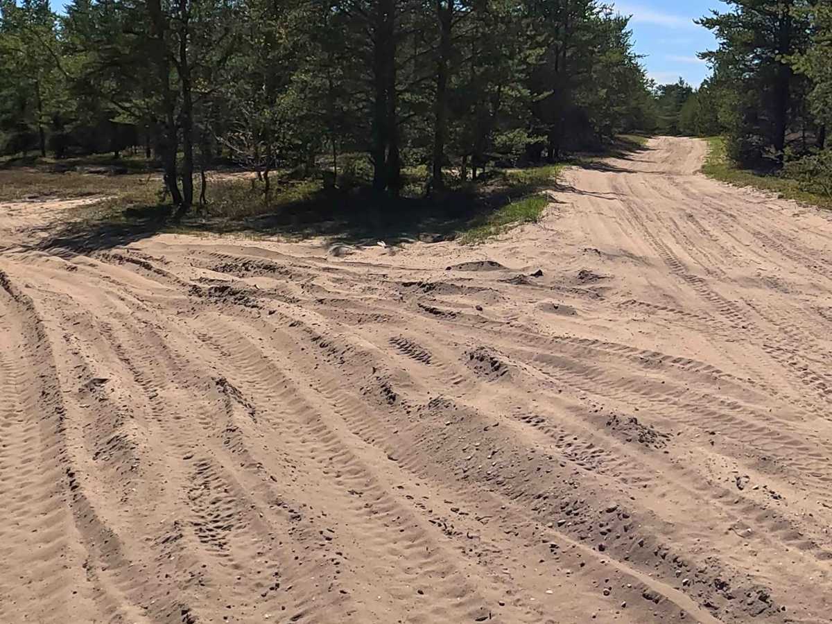 North Andrus Lake Road trail photo