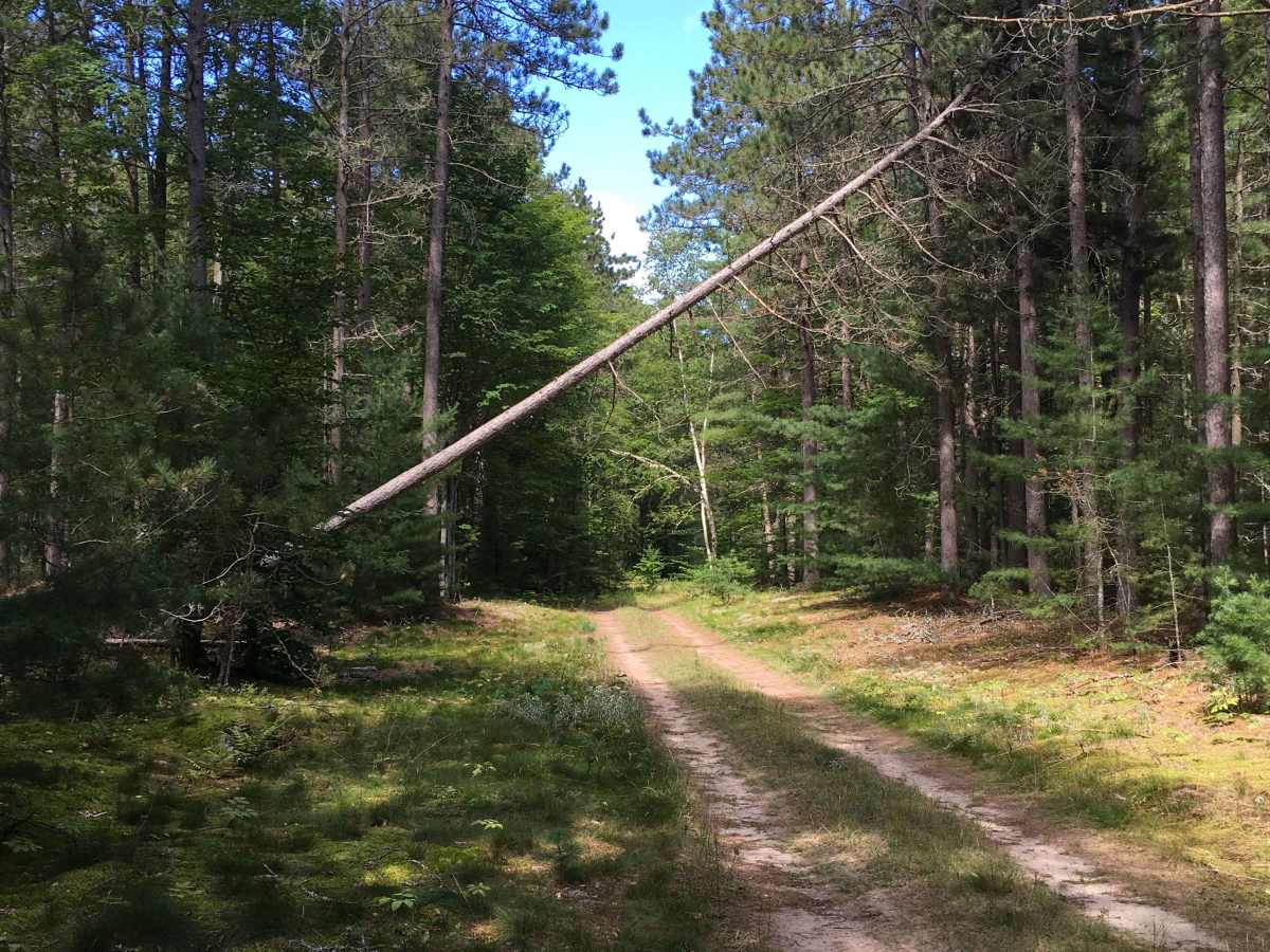Wolski Road  photo 2