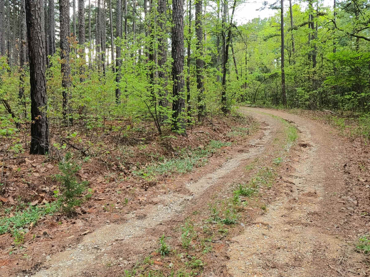 James Ridge - FS 2754 photo 3