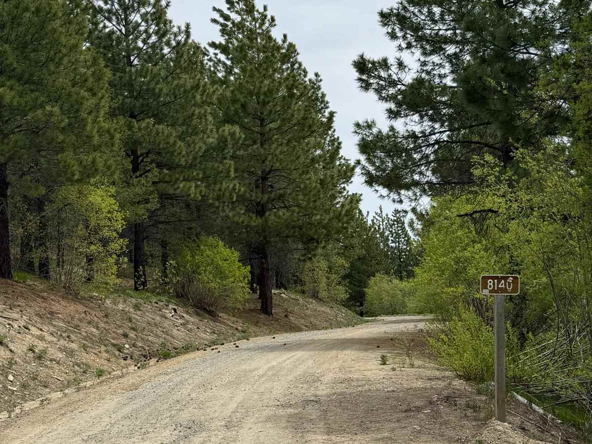 Antoine Creek Road - FS 8140 trail photo