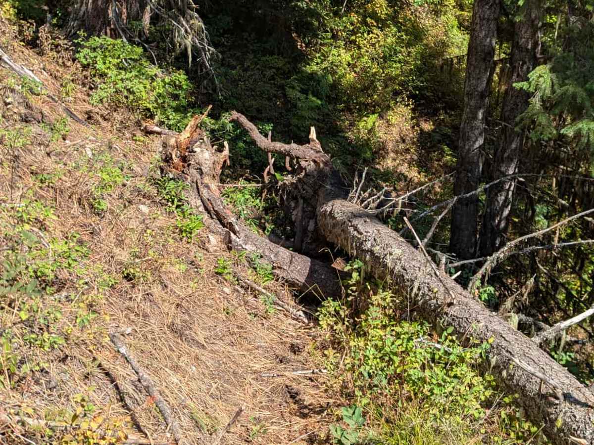 Fish Butte photo 4