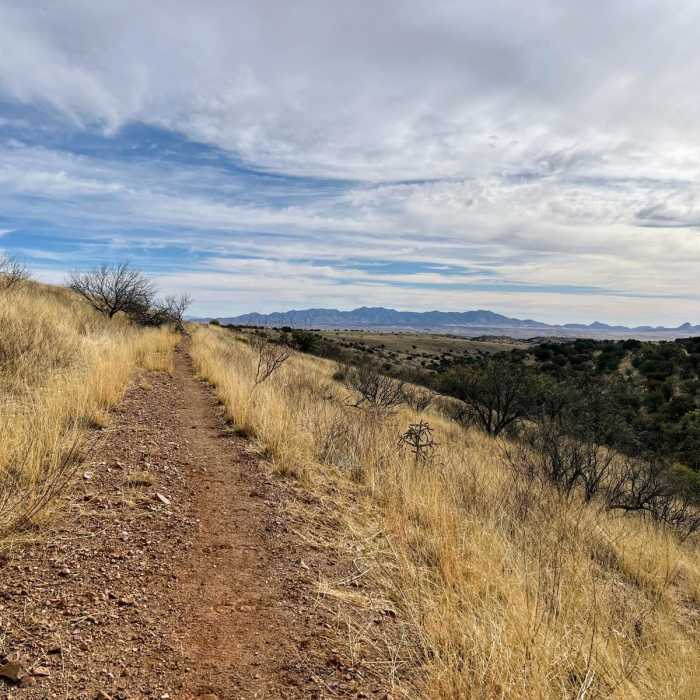 Near Sweetwater Spring Loop