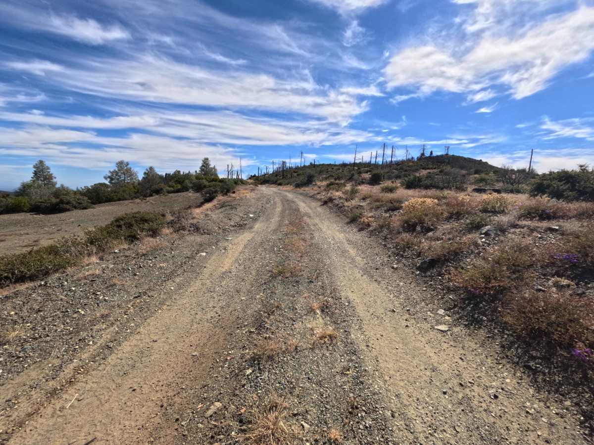 Eagle Rock - FS 24N36 photo 4