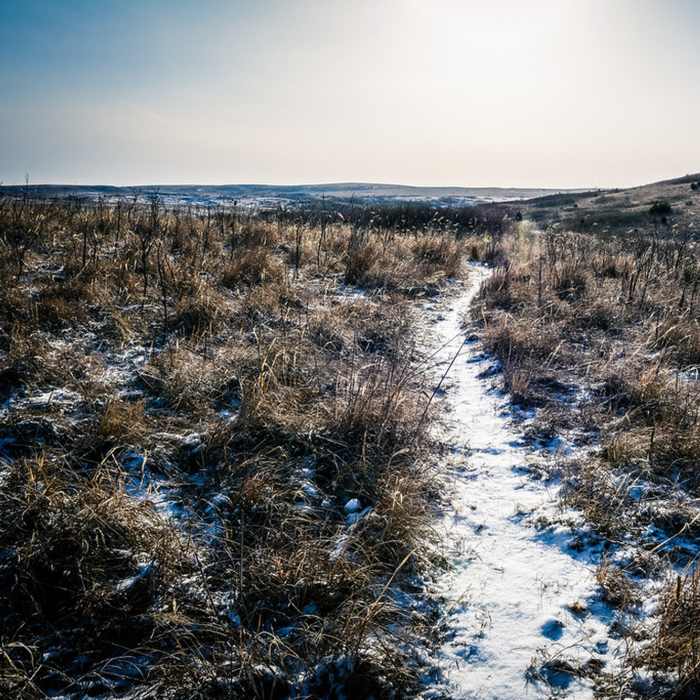 Near Horsethief Canyon Trail