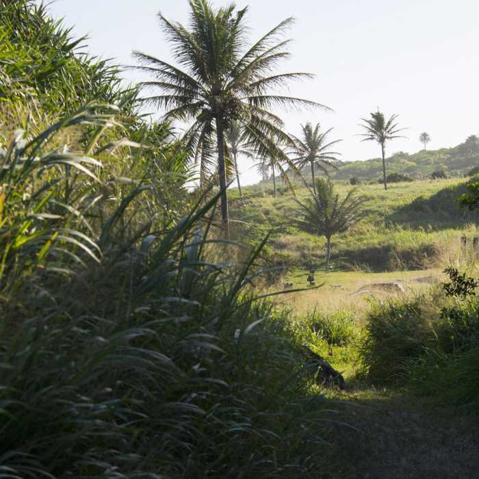 Near Kuloa Point Near Kuloa Point