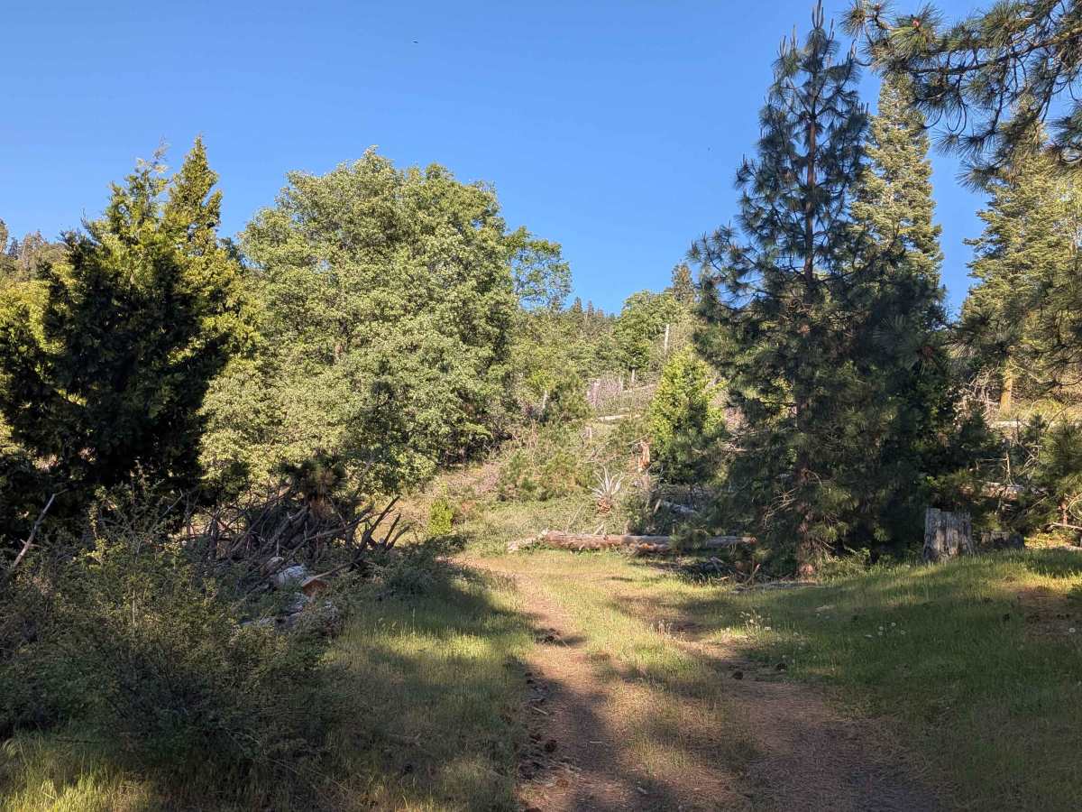 Greenhorn Mountain West - FS 26S01 photo 2