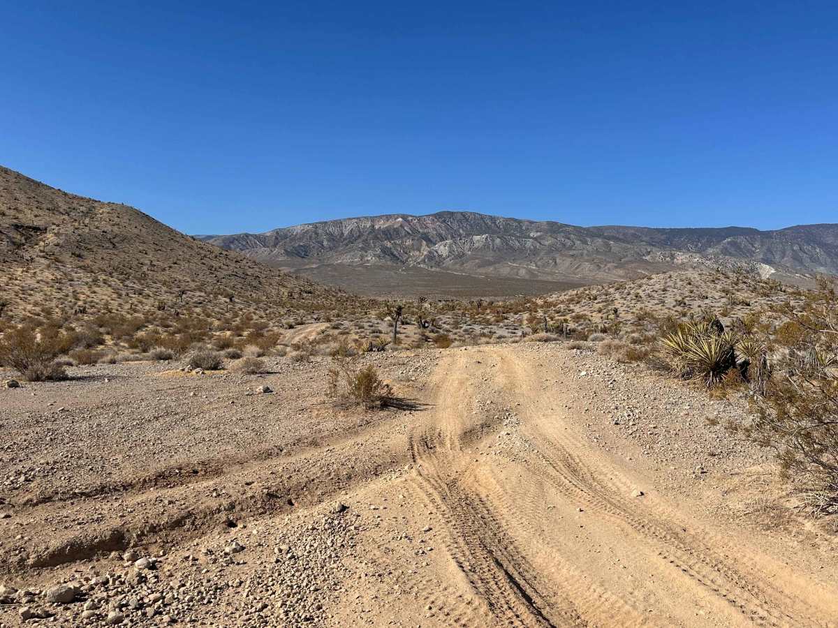 Open Range Trail photo 4
