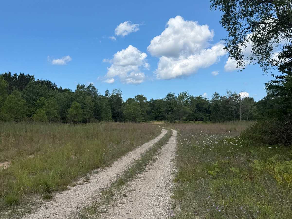 Deer Trail photo 4