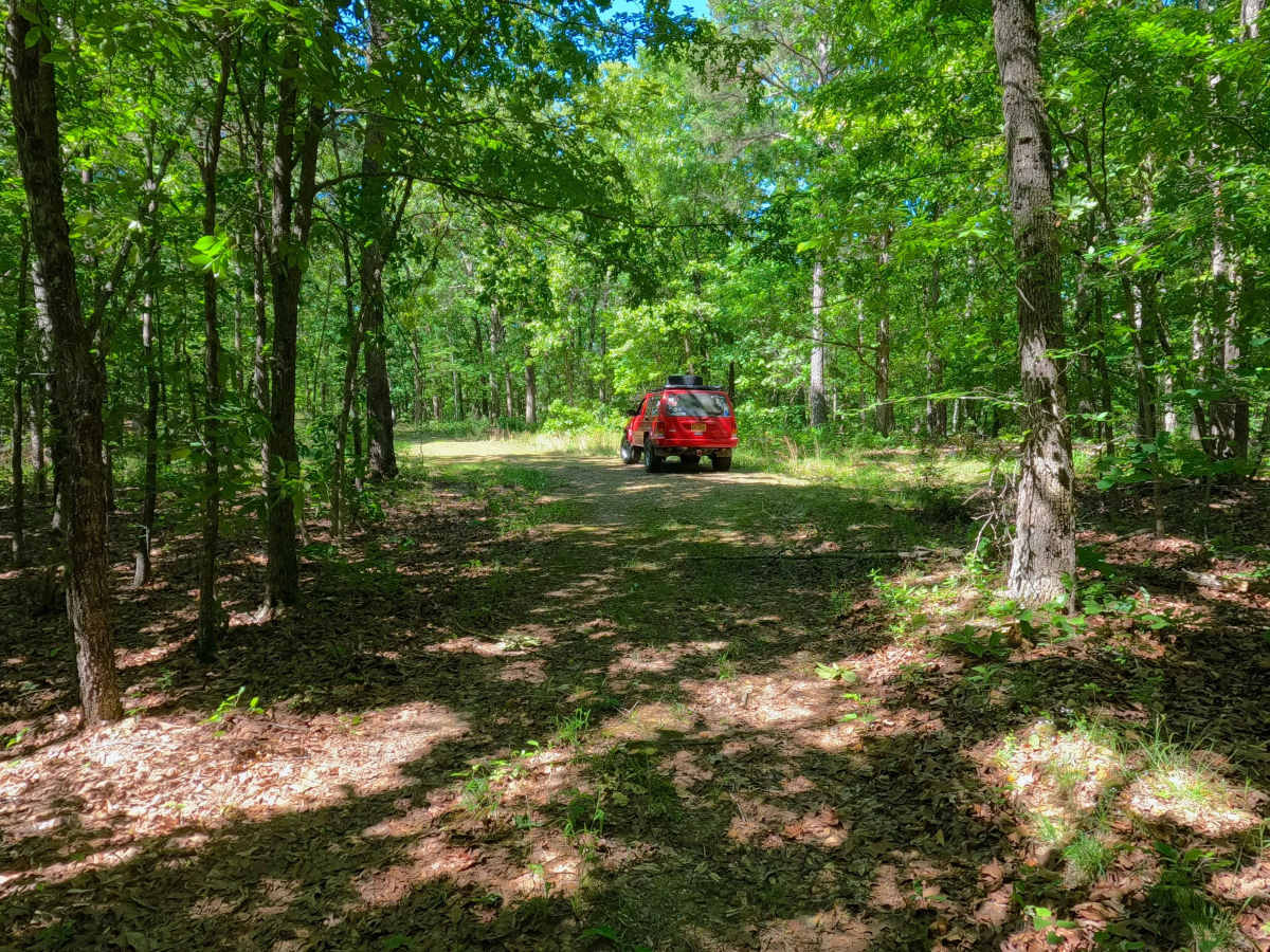 Bluegrass - FS 3528 photo 5
