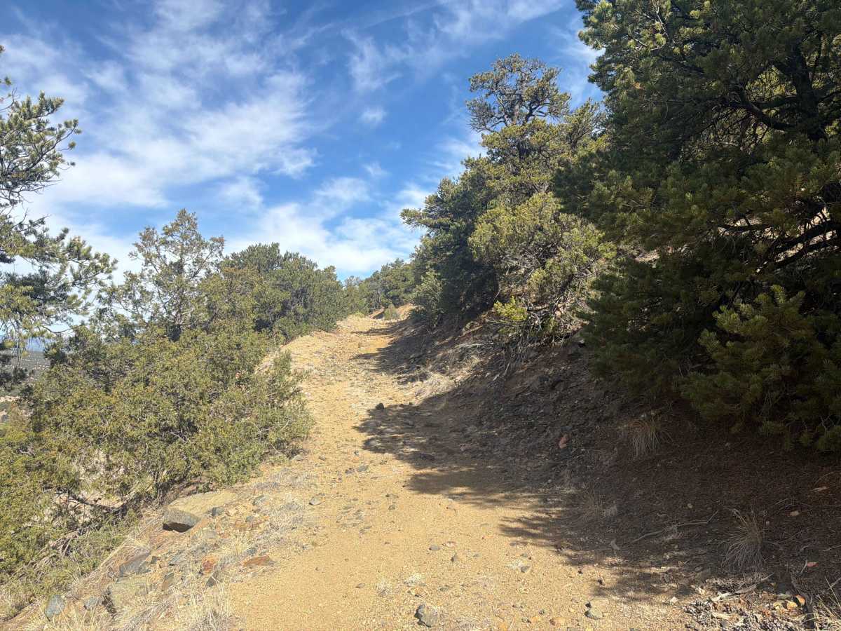 BLM 5971A photo 4