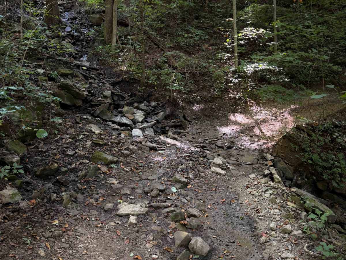 Little Bull Creek Loop 10  photo 3