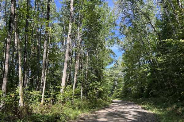 Rat River Road - FS 2134