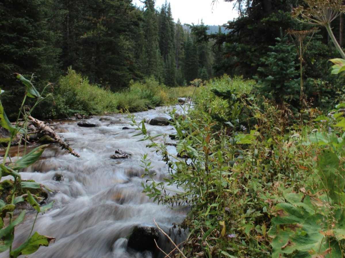 North Piney Lake trail photo