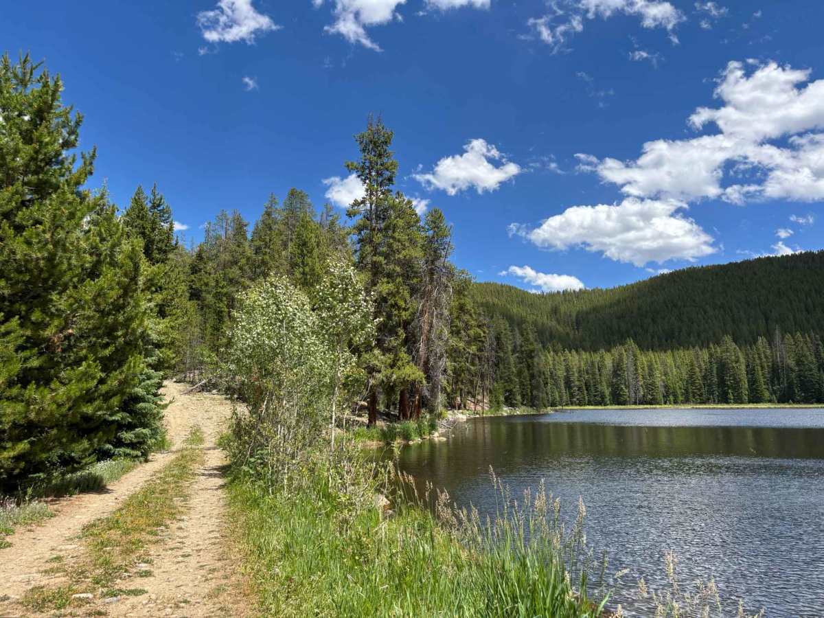 Diemer Lake Loop trail photo