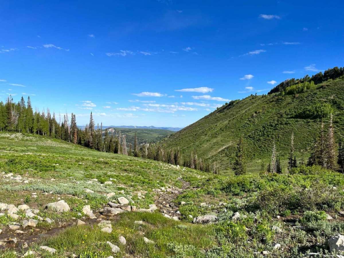 Middle Fork trail photo