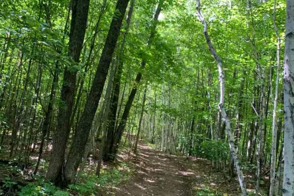Berthiaume Trail