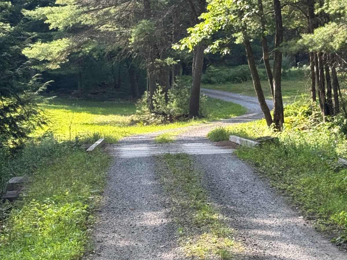 Pine Run Road photo 3
