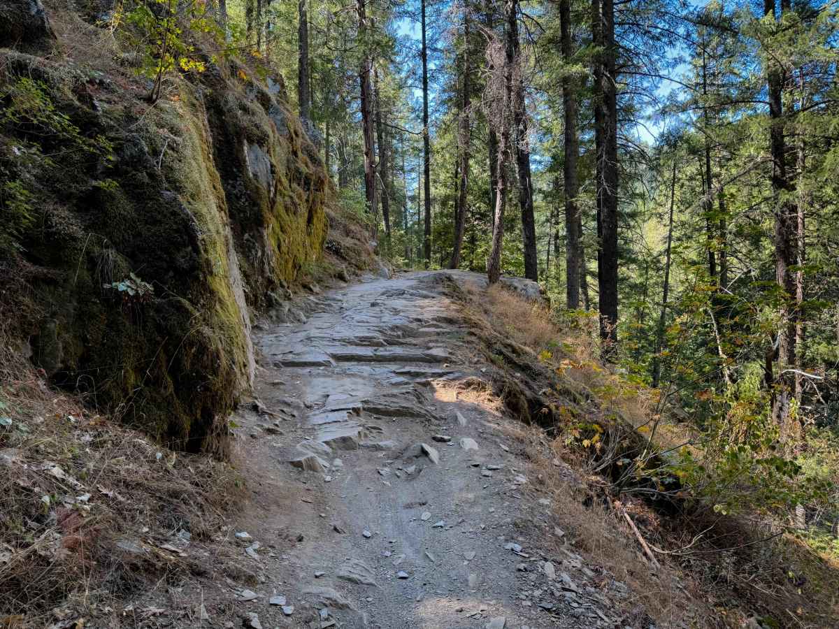 Third Divide  trail photo