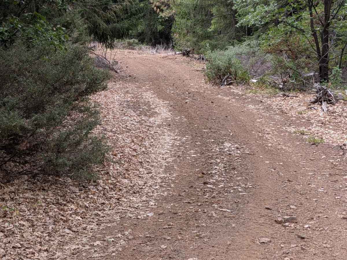 Grouse Prairie Road - FS 1N05 photo 5