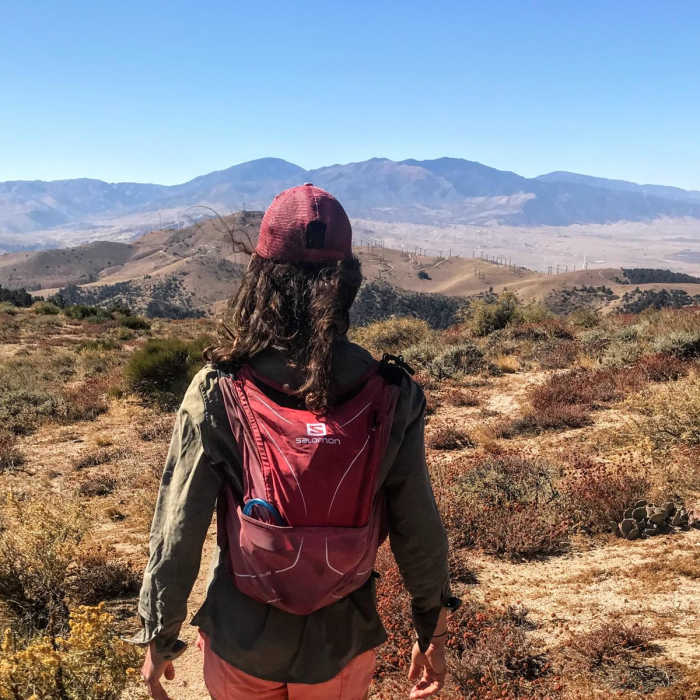 Near Tehachapi Pass to Golden Oaks Spring