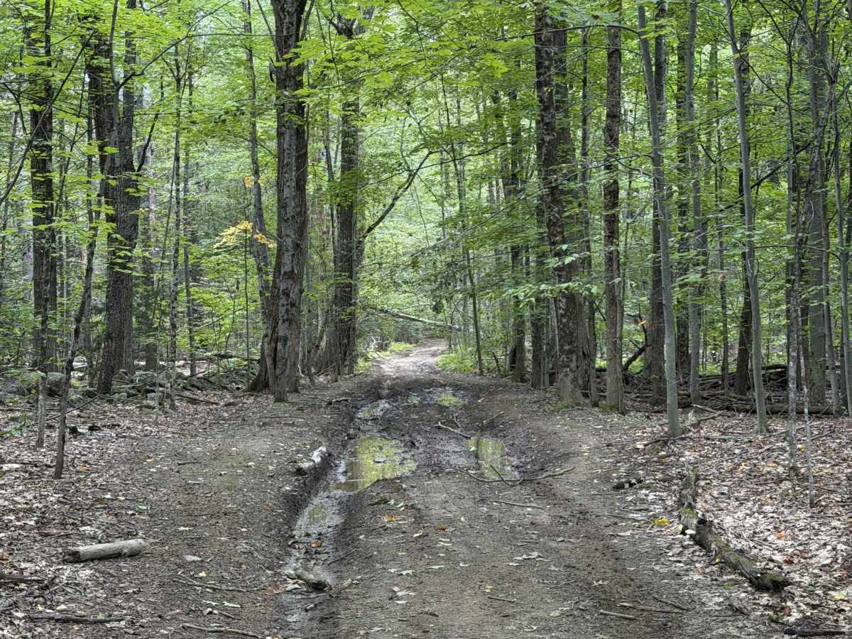 Edan Page Road photo 4