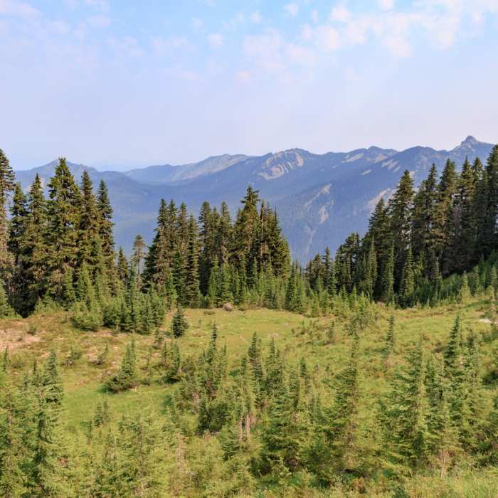 Near Goat Rocks Thru-hike