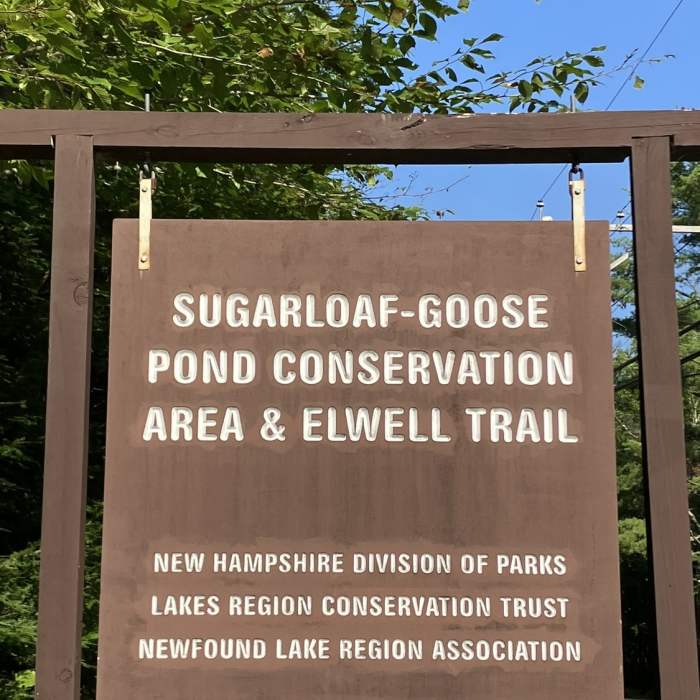 Near Goose Pond Trail