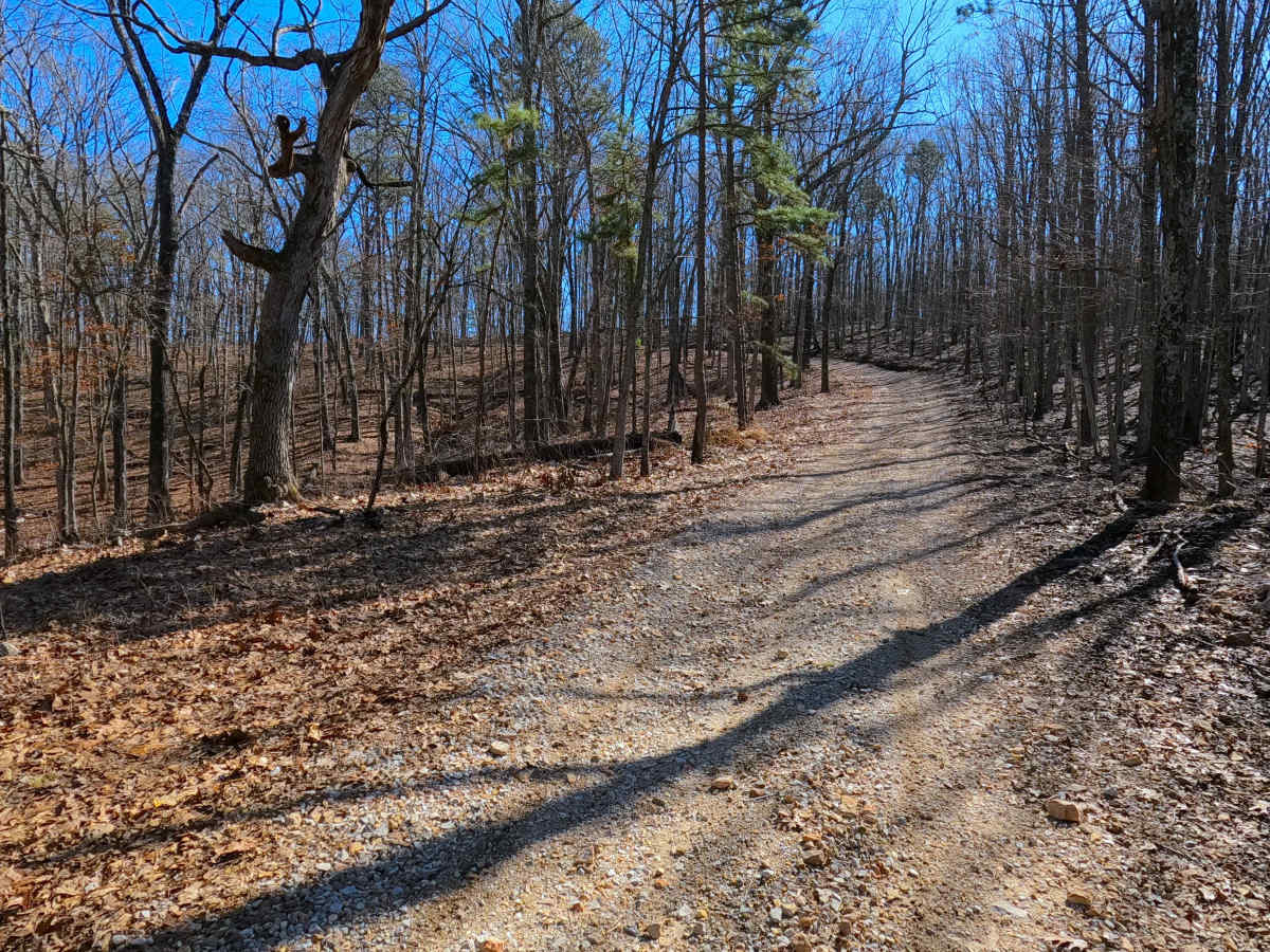 Shirley Ridge - FS 2628 photo 3
