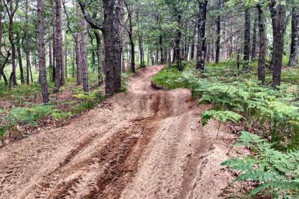 Cedar Creek Motorsport Trail (South Loop)