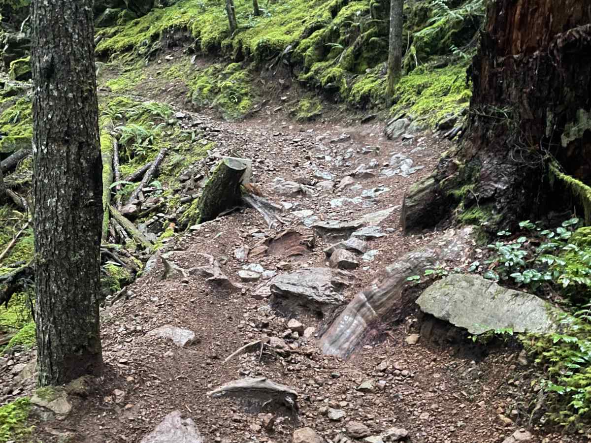 STP trail photo