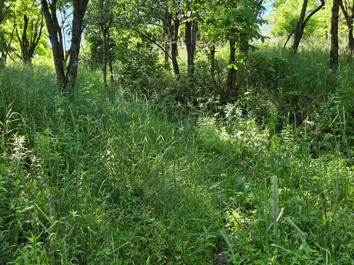 Single Track X photo 6