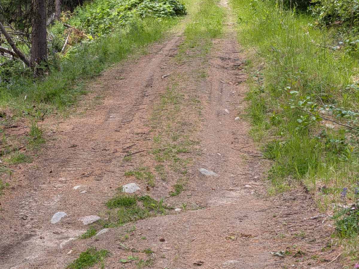 De Pue Creek Road photo 6
